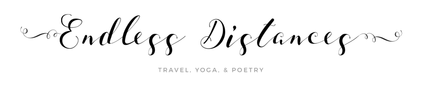 endless distances logo